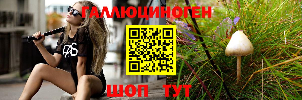 Псилоцибиновые грибы GOLDEN TEACHER Стрежевой